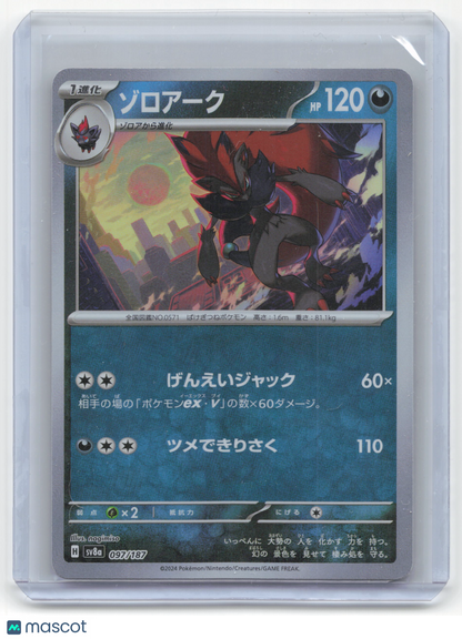 Pokemon Zoroark Terastal Festival ex #097/187 Japanese Masterball Pattern NM