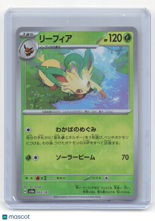 2024 Pokemon Leafeon Terastal Festival ex #002 Japanese Masterball Pattern NM