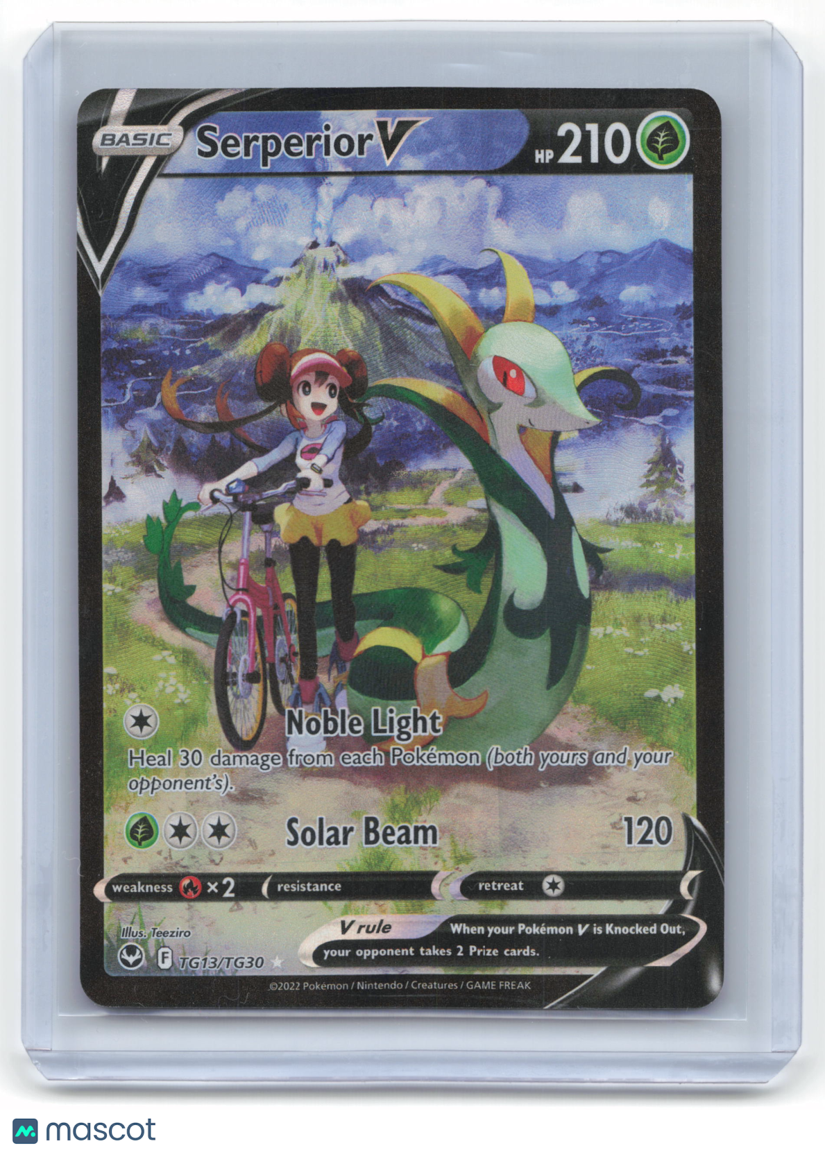 2022 Pokemon Serperior V Silver Tempest: Trainer Gallery #TG13/TG30 Near Mint