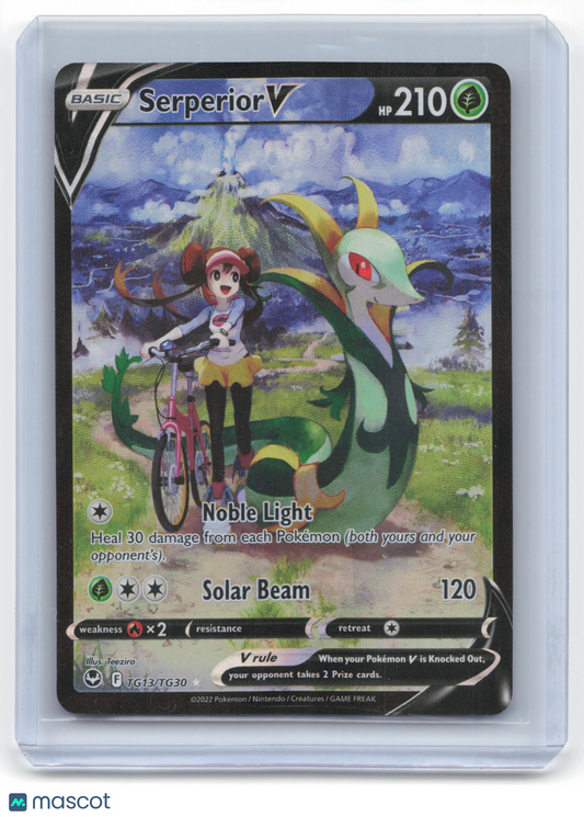 2022 Pokemon Serperior V Silver Tempest: Trainer Gallery #TG13/TG30 Near Mint