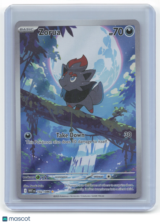 2025 Pokemon Zorua White Flare #142/86 Near Mint