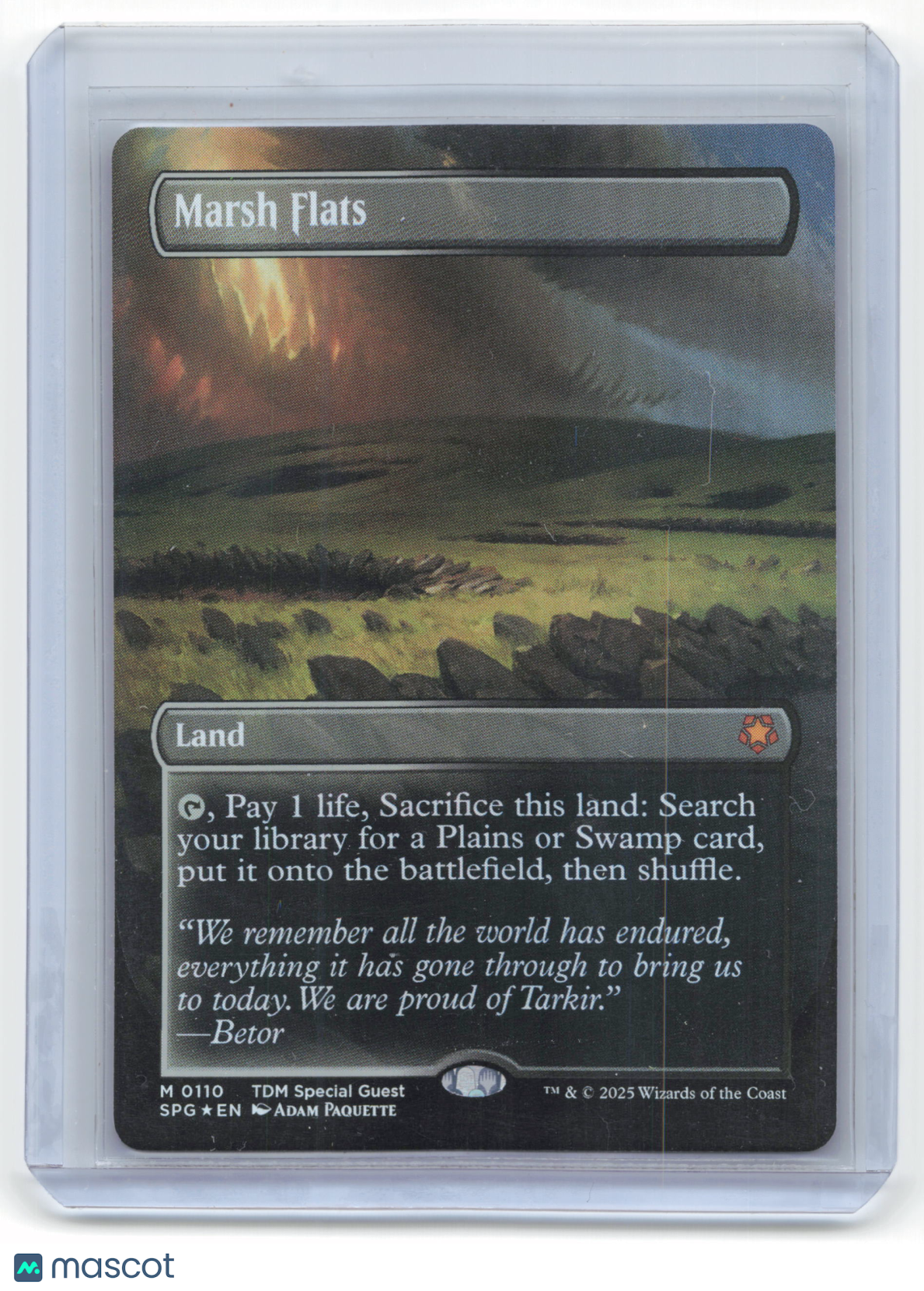 2025 Magic: The Gathering Marsh TDM: Special Guest #0110 Foil (Borderless) NM - Papa Joey's Collectibles