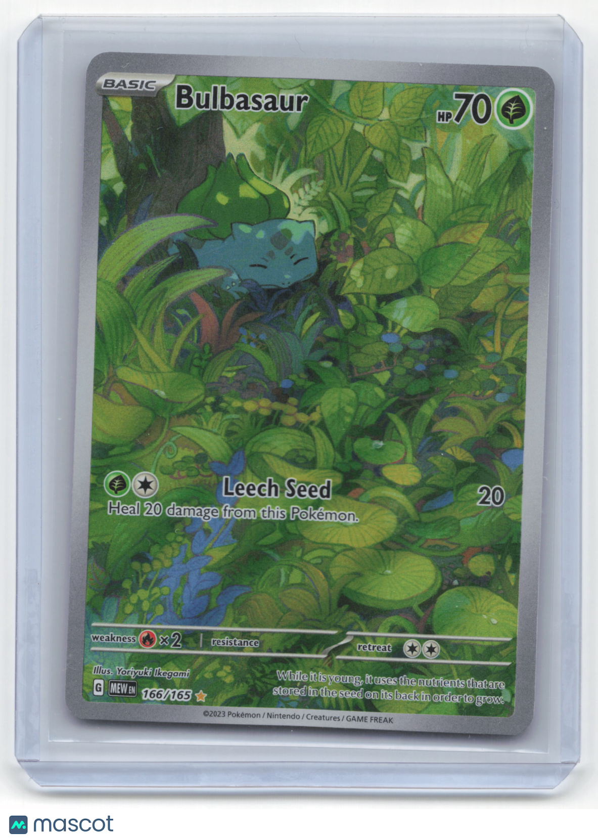 2023 Bulbasaur Pokemon 151 #166/165 Holo NM - Papa Joey's Collectibles