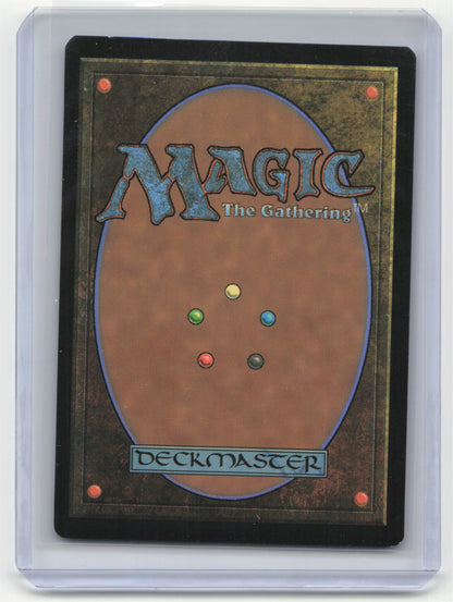 2021 Magic: The Gathering—Forest #243 Secret Lair Drop—Rare Foil