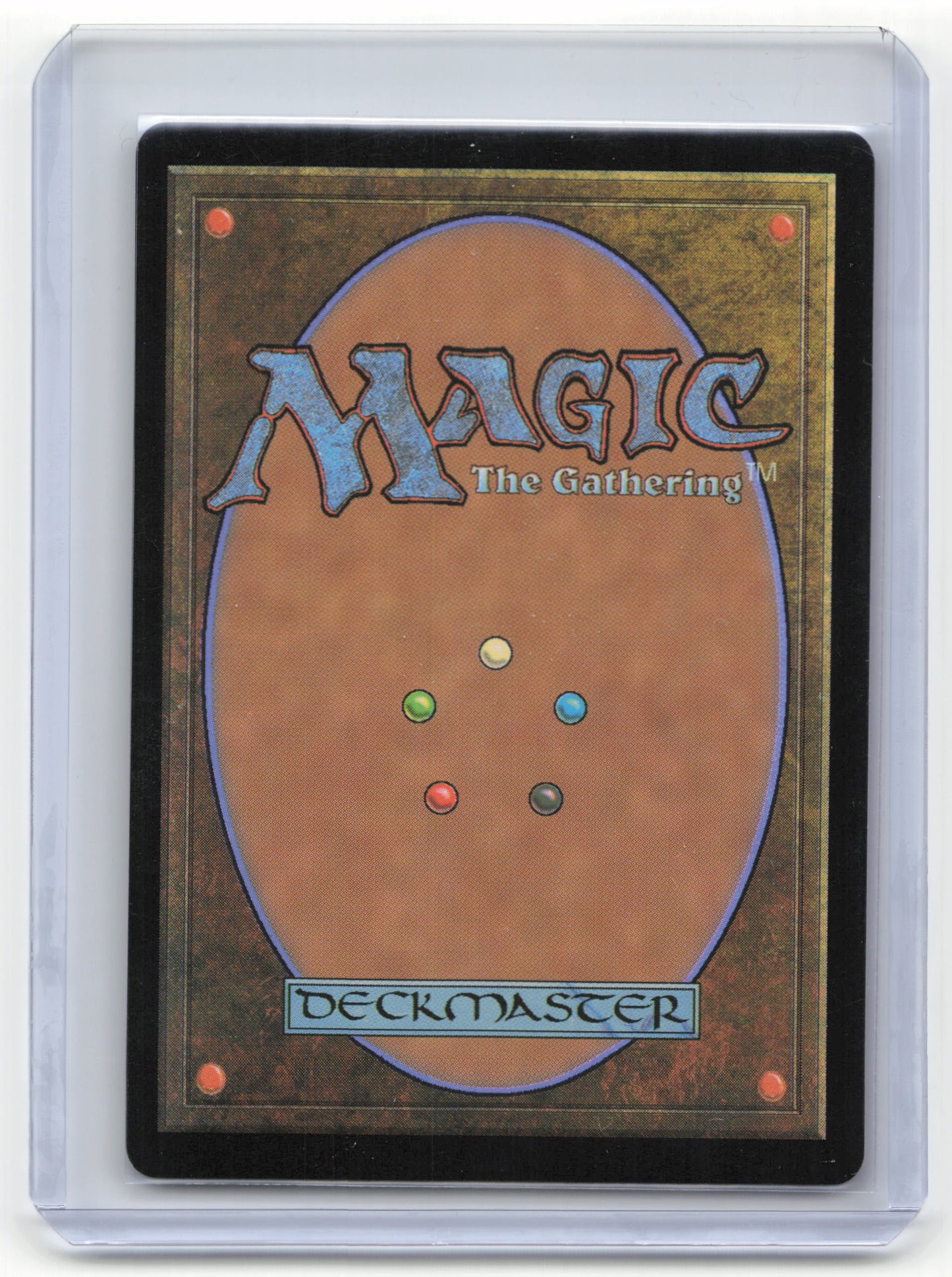 2024 Magic: The Gathering Forest Secret Lair Drop Rare Foil #1651