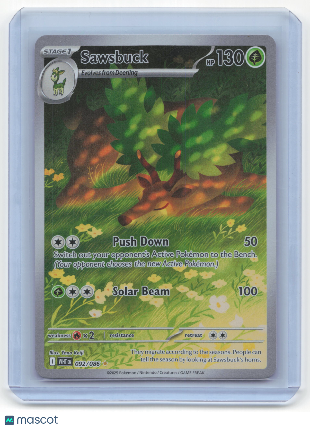 2025 Pokemon Sawsbuck White Flare Illustration Rare Foil #92/86 Near Mint