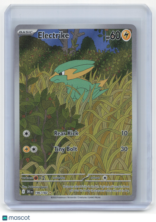 2025 Pokemon Electrike Destined Rivals Illustration Rare Holo #196/182 Near Mint - Papa Joey's Collectibles