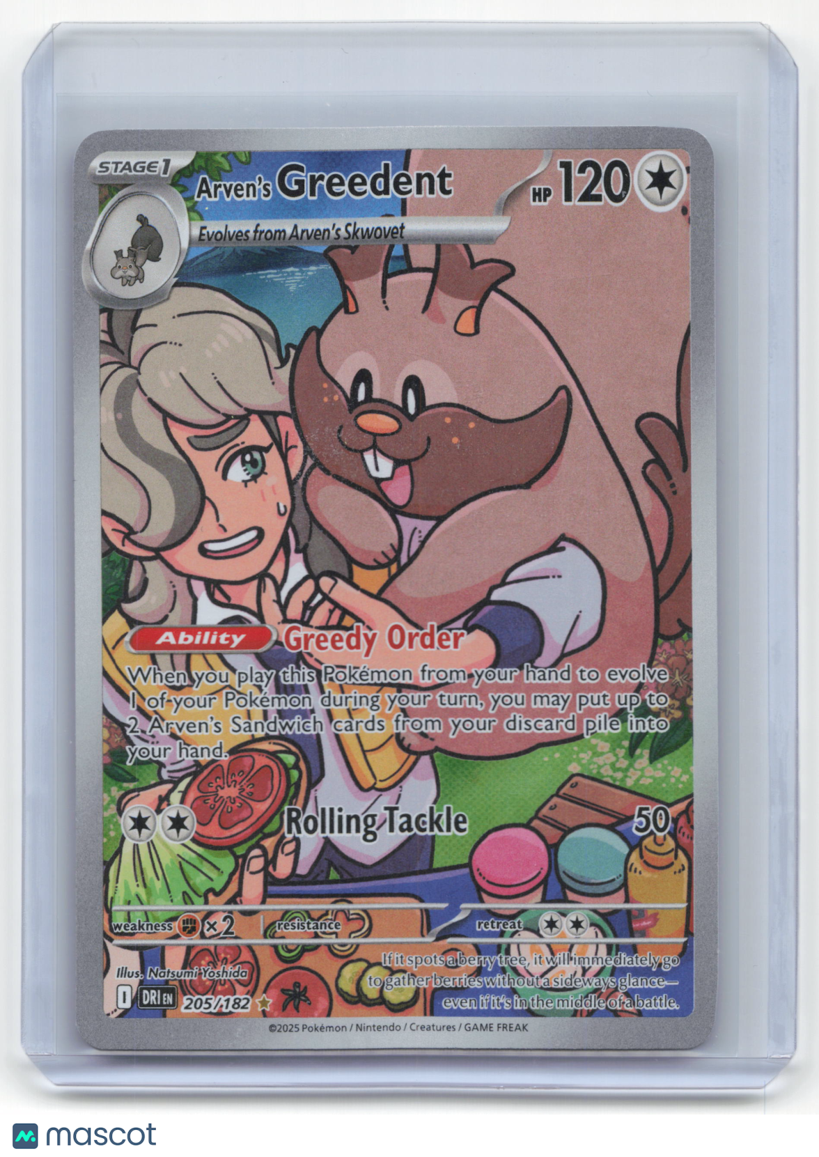 2025 Pokemon Arven's Greedent Destined Rivals Illustration Rare Holo #205/182 NM - Papa Joey's Collectibles