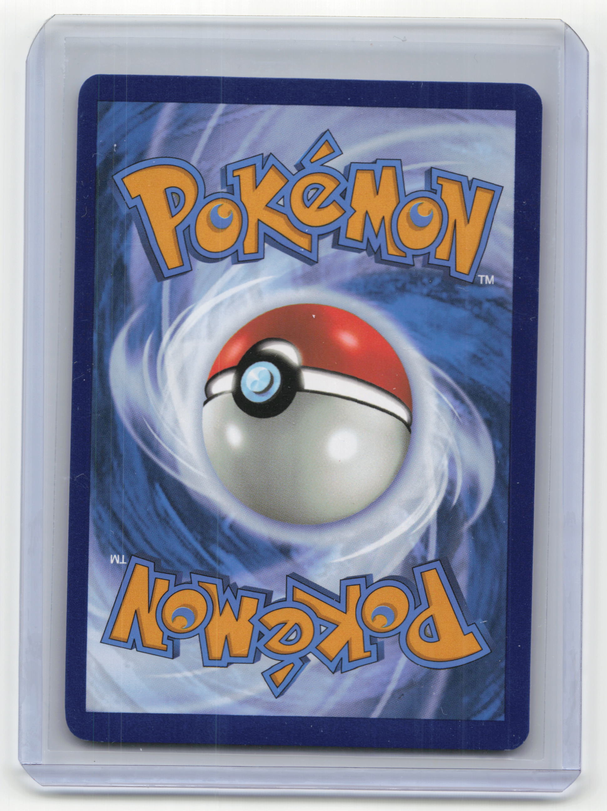 2023 Pokemon Scream Tail SVP Black Star Promo Foil #065 Near Mint - Papa Joey's Collectibles