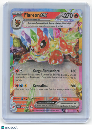 Descriptive image text