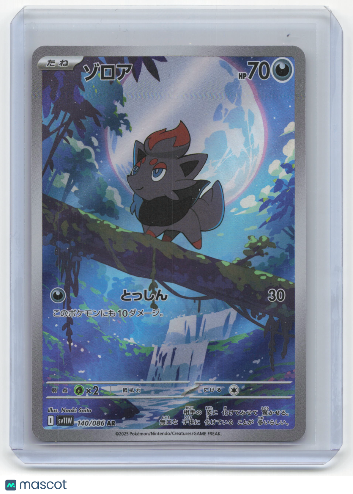 2025 Pokemon Zorua SV11W: White Flare Art Rare Holo #140/086 Japanese Near Mint