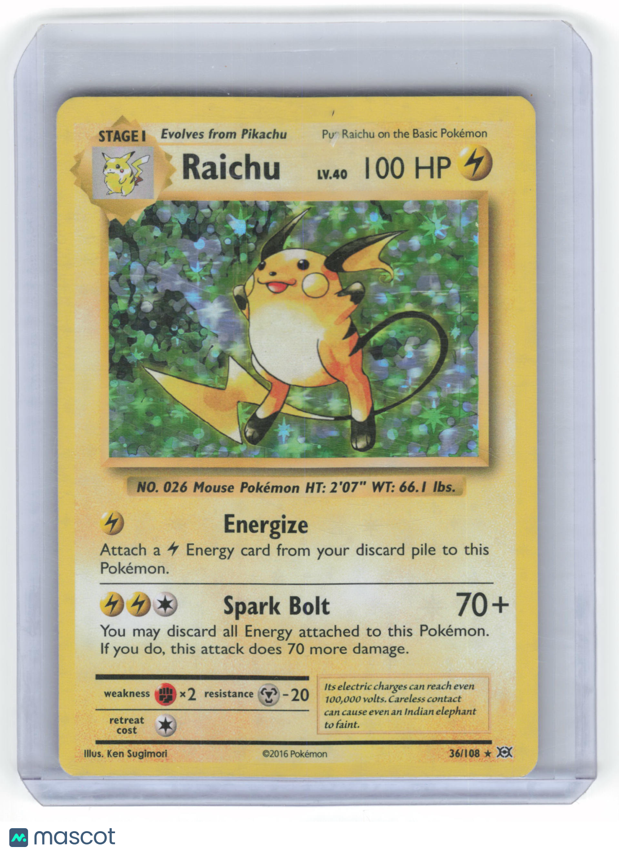 2016 Pokemon Raichu Evolutions Rare Holo #36/108 Near Mint