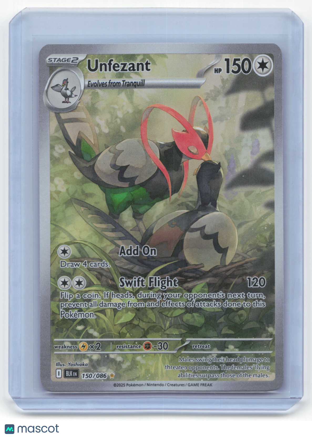 2025 Pokemon Unfezant Black Bolt Illustration Rare #150/086 Near Mint