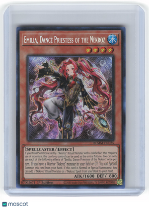 Descriptive image text