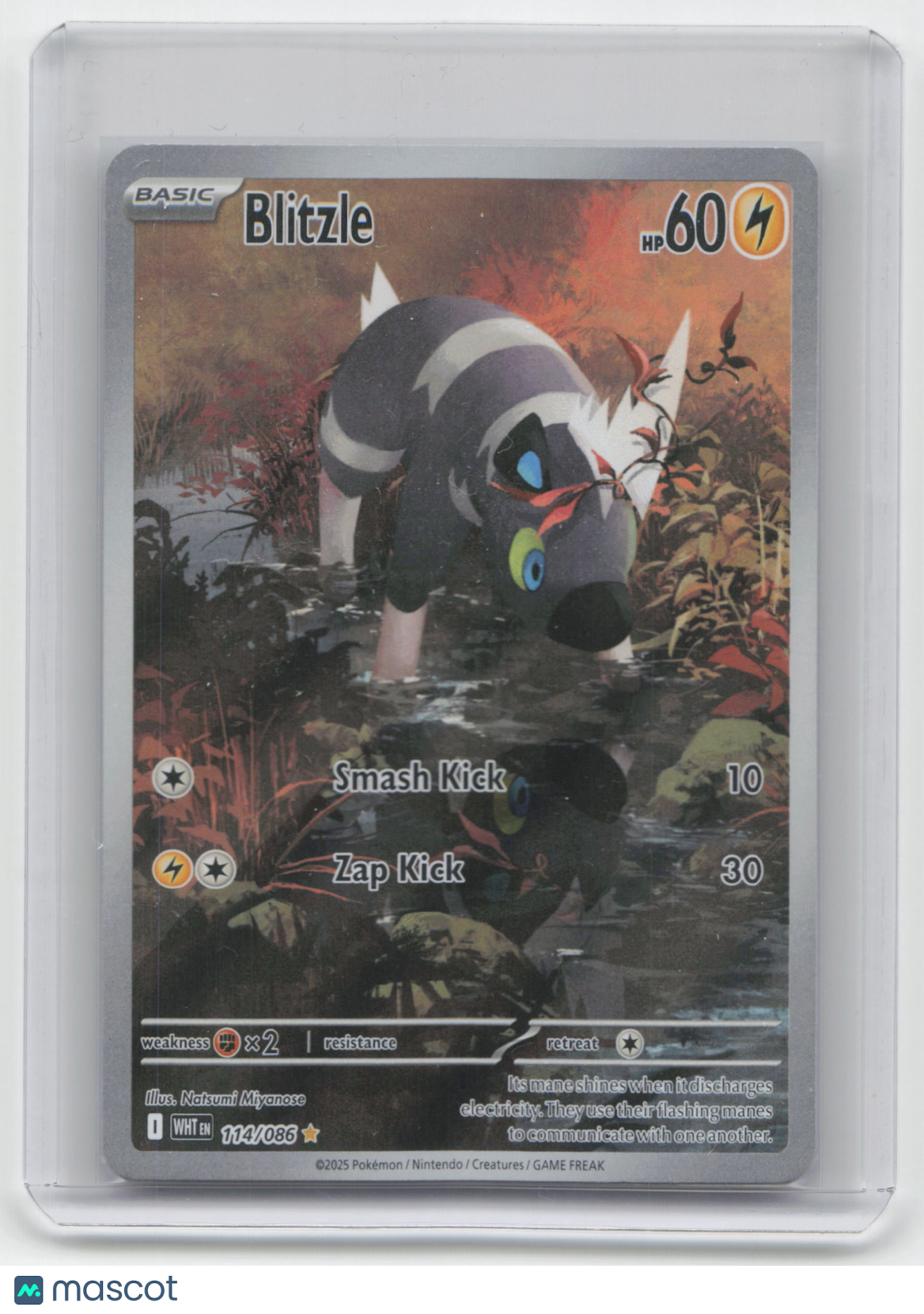 2025 Pokemon Blitzle White Flare Illustration Rare #114/86 Near Mint