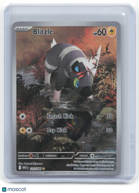2025 Pokemon Blitzle White Flare Illustration Rare #114/86 Near Mint