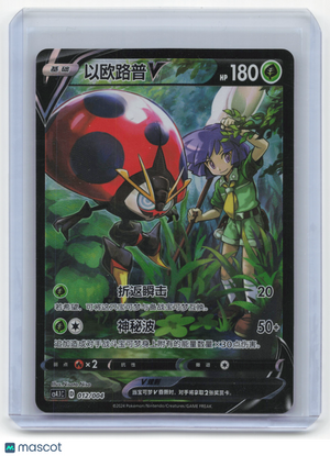 Descriptive image text