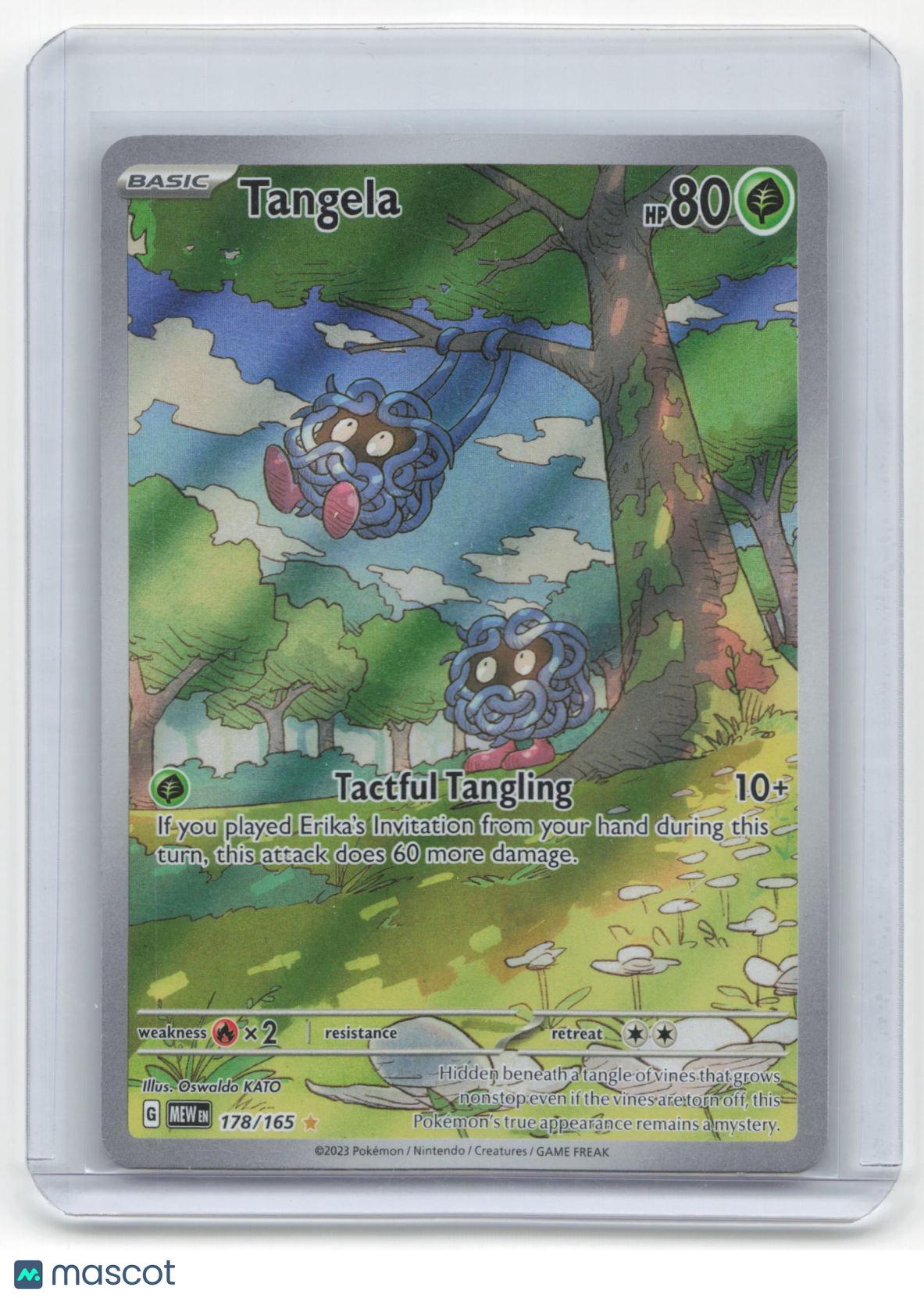 2023 Tangela Pokemon 151 Illustration Rare Holo #178/165 Near Mint
