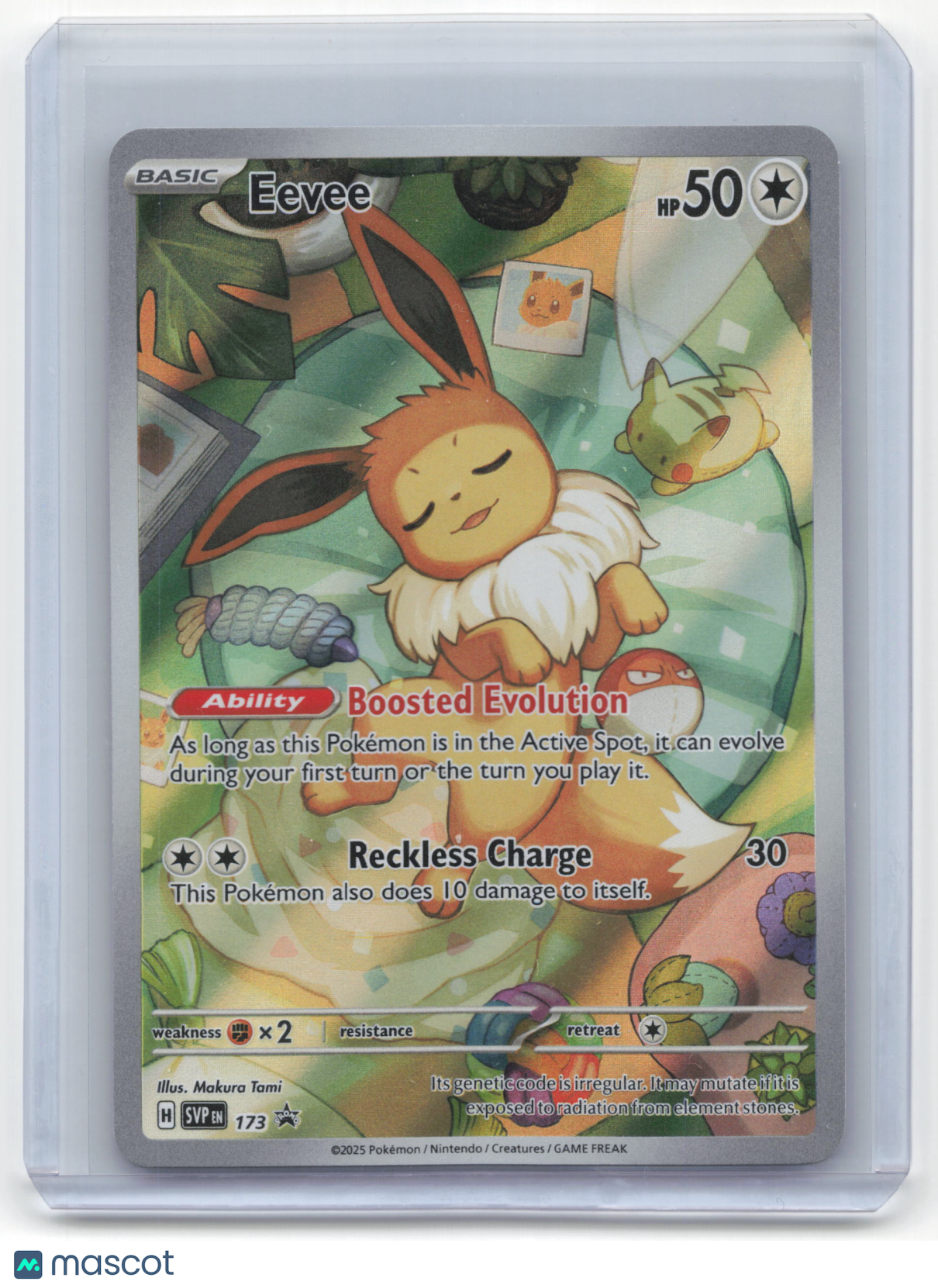 2025 Pokemon Eevee Scarlet & Violet Black Star Promo Holo #173 Near Mint