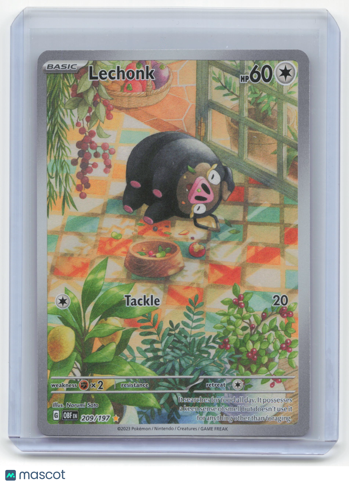 2023 Pokemon Lechonk Obsidian Flames Illustration Rare Holo #209/197 Near Mint