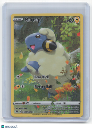 Descriptive image text