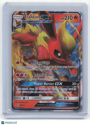 Descriptive image text