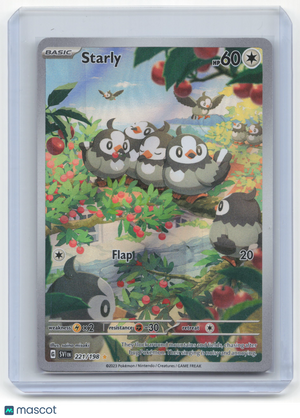 Descriptive image text