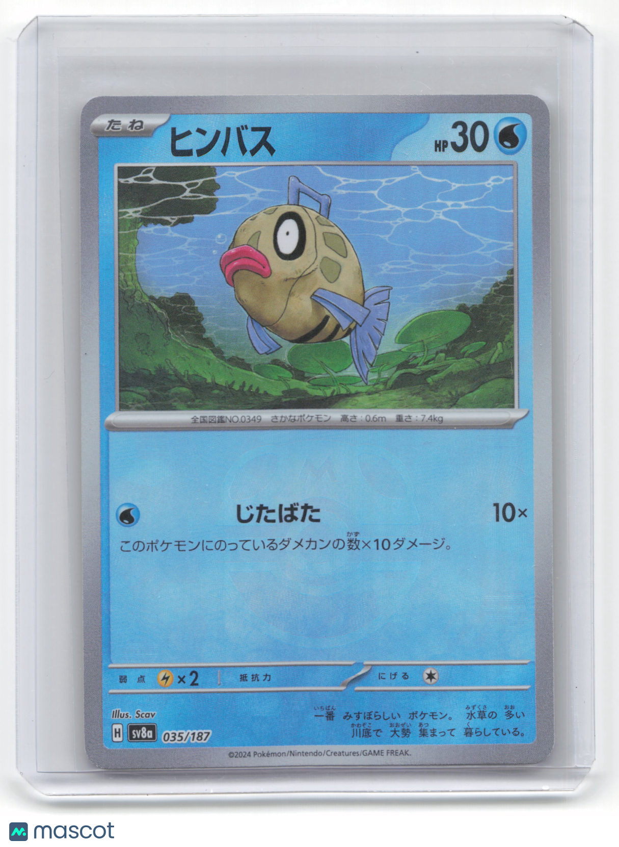 2024 Pokemon Feebas Sv8a: Terastal Fest Ex #35/187 Japanese [Master Ball]
