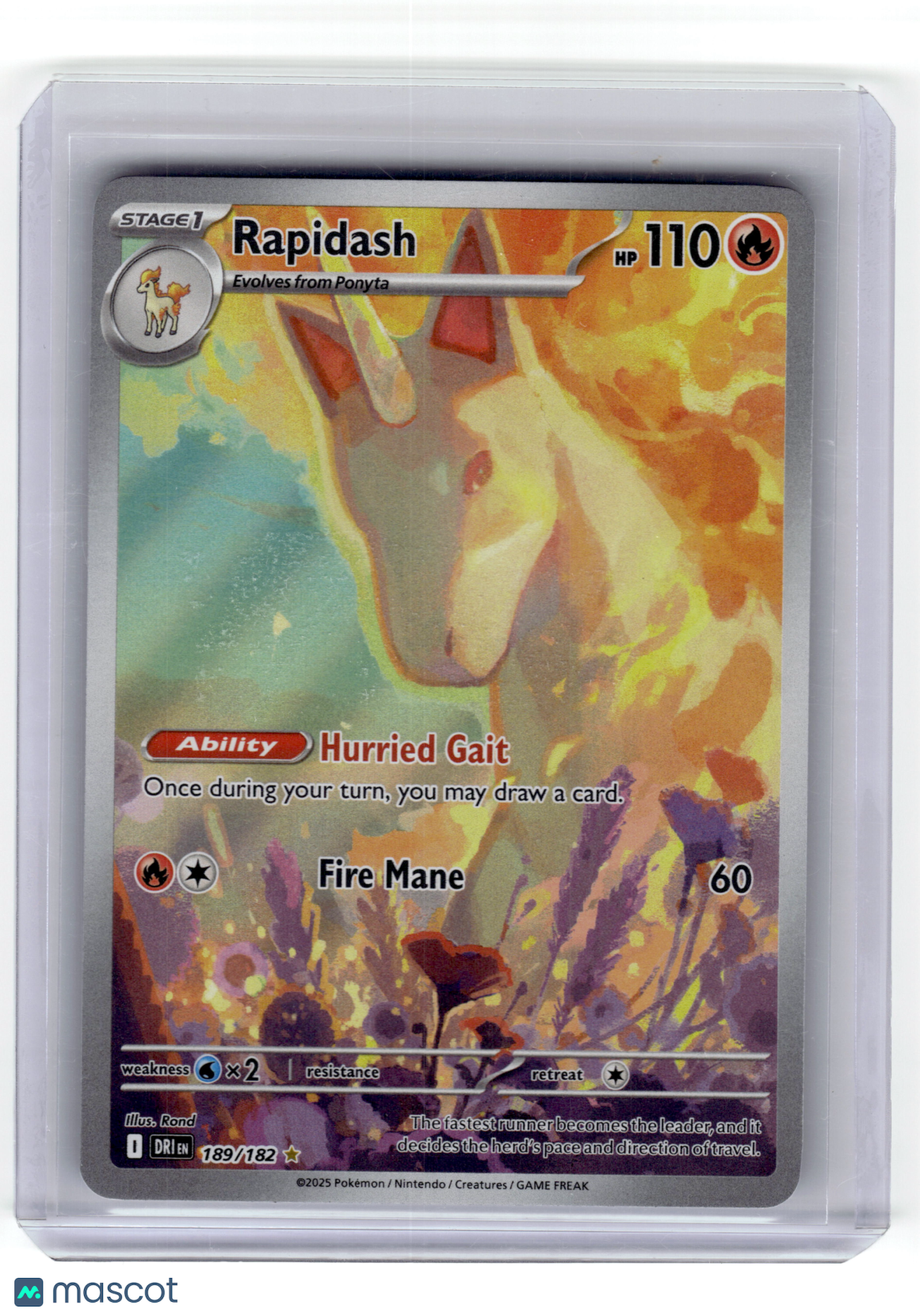 2025 Pokemon Rapidash Destined Rivals Illustration Rare Holo #189/182 Near Mint