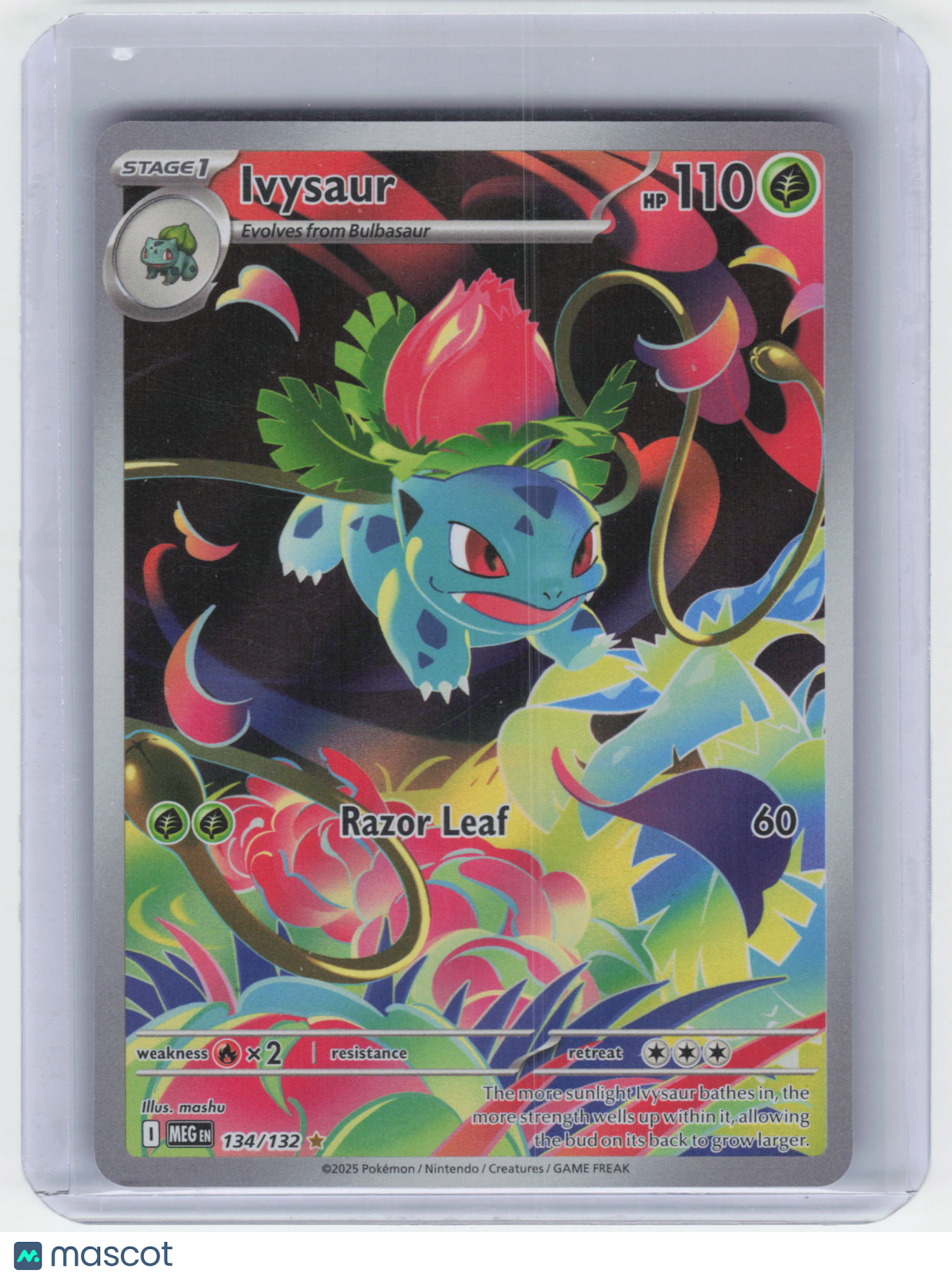 2025 Pokemon Ivysaur #134/132 Mega Evolution Illustration Rare Foil