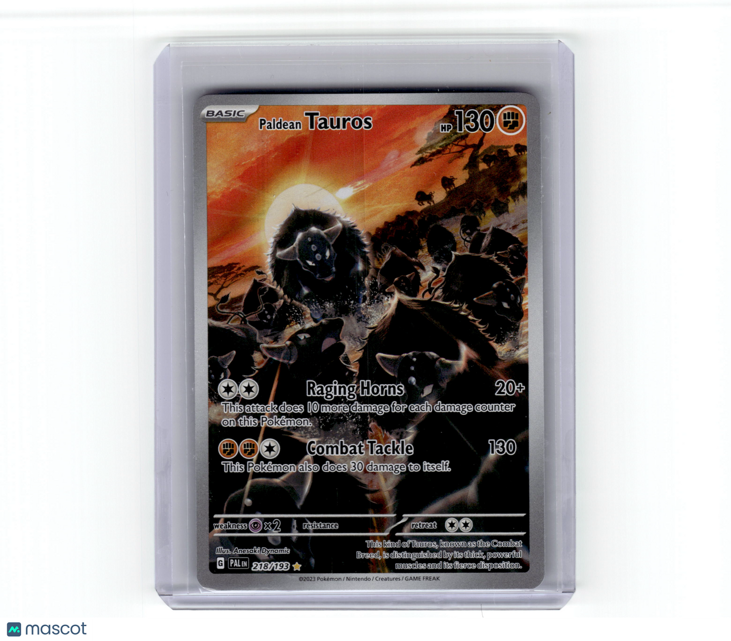 2023 Pokemon Paldean Tauros Paldea Evolved Illustration Rare #218/193 Near Mint