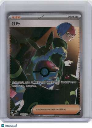 Descriptive image text