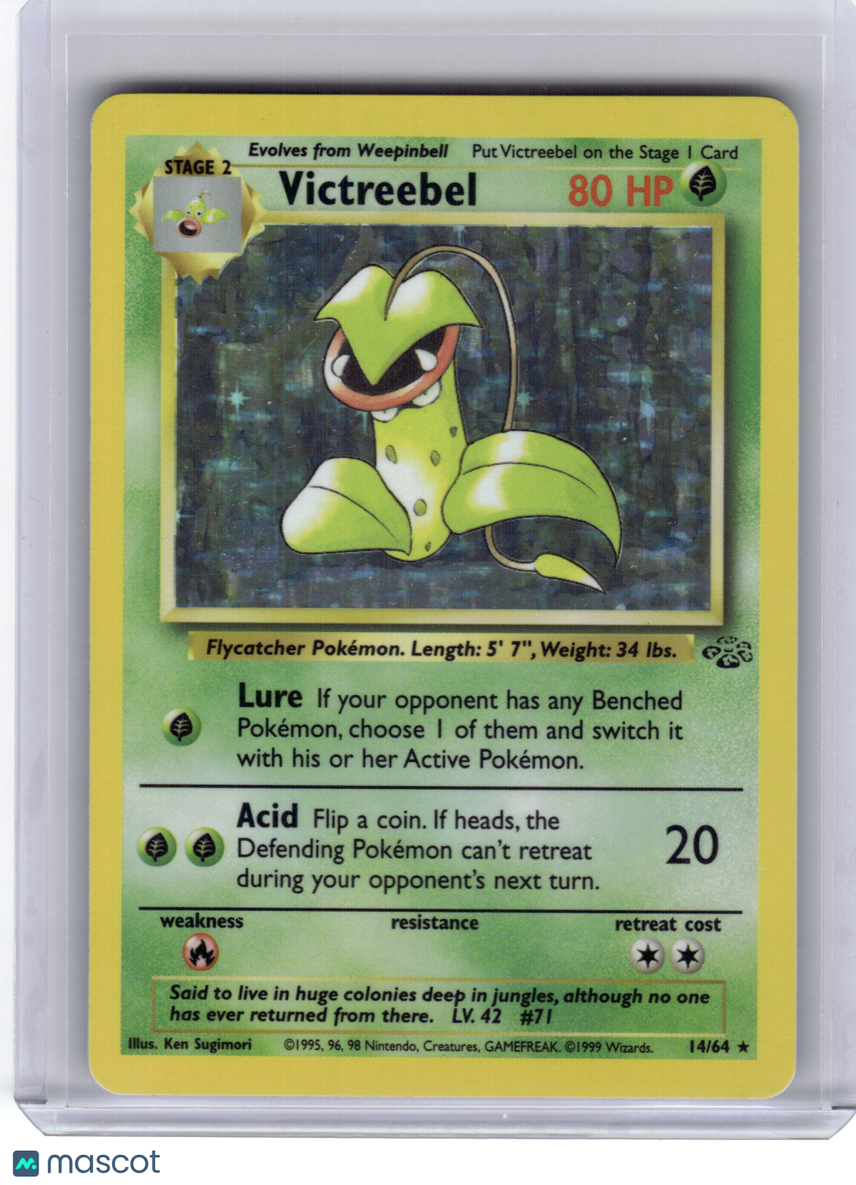 1999 Pokemon Victreebel Jungle Rare Holo #14/64 Near Mint