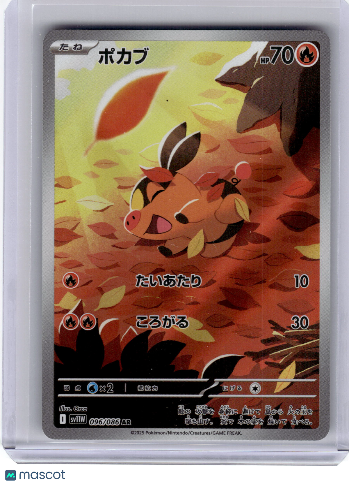 2025 Pokemon Tepig SV11W: White Flare Art Rare Holo #096 Japanese Near Mint