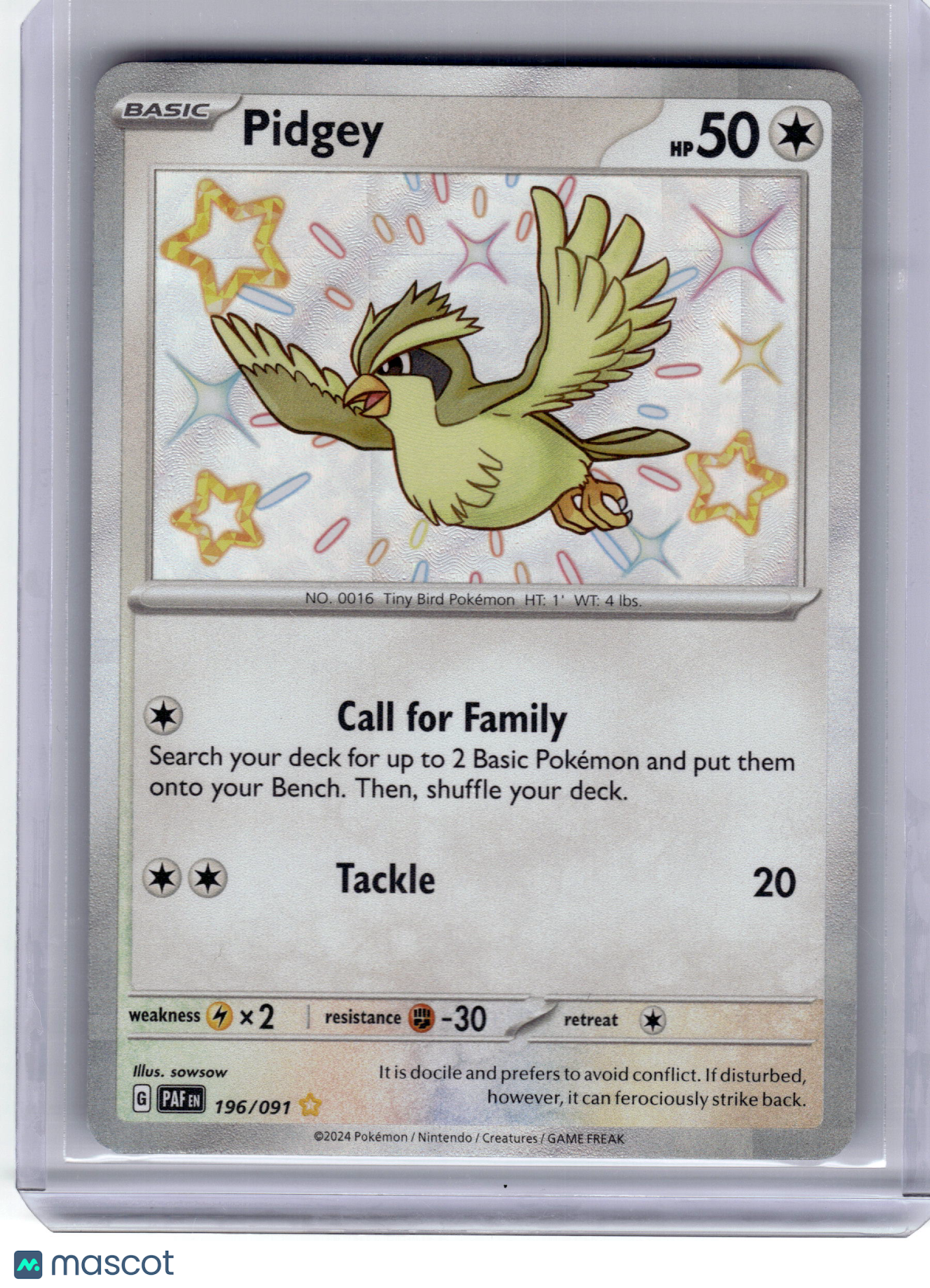 2024 Pokemon Pidgey Paldean Fates Shiny Rare Holo #196/91 Near Mint