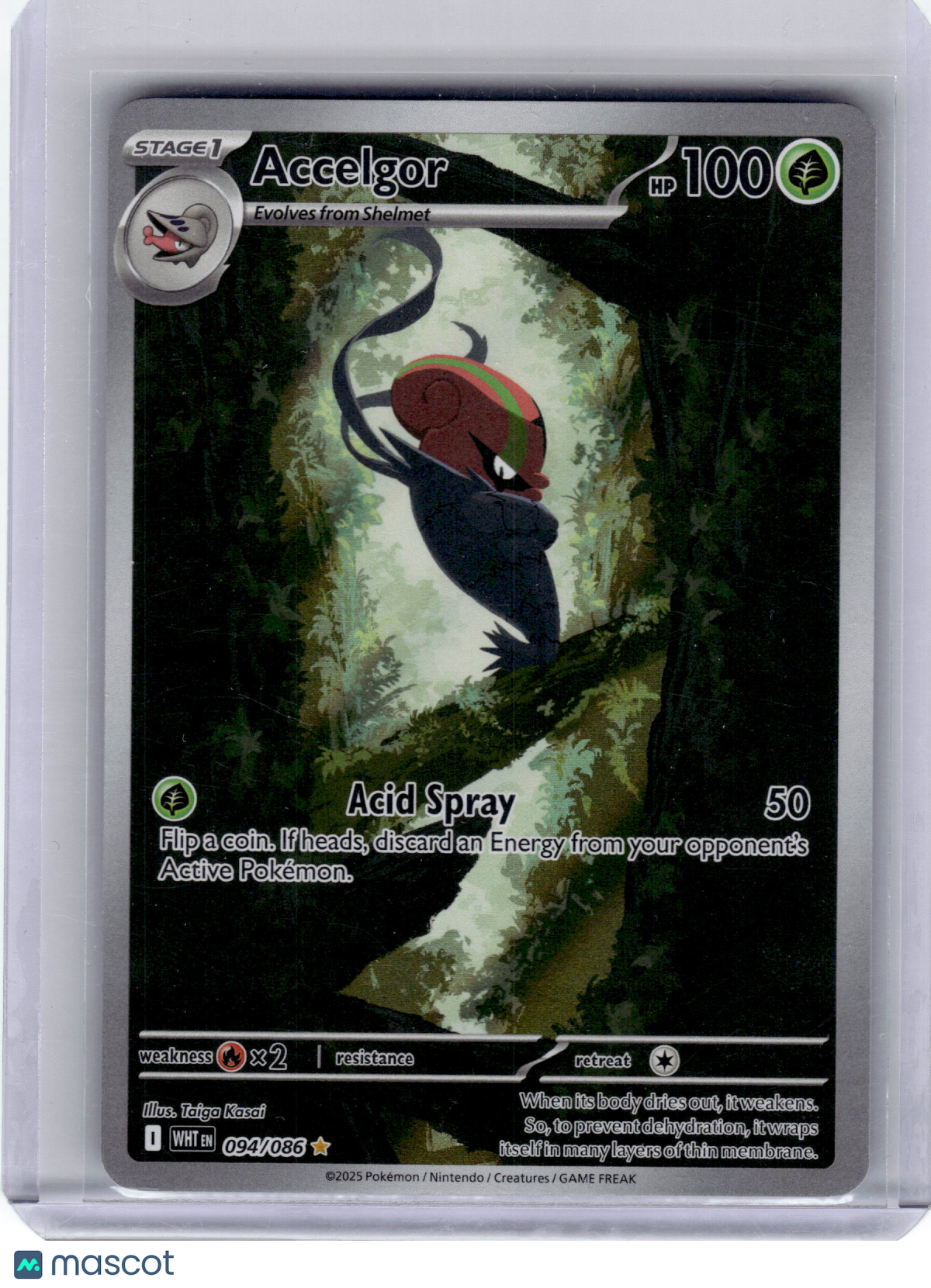 2025 Pokemon Accelgor White Flare Illustration Rare Holo #94 Near Mint