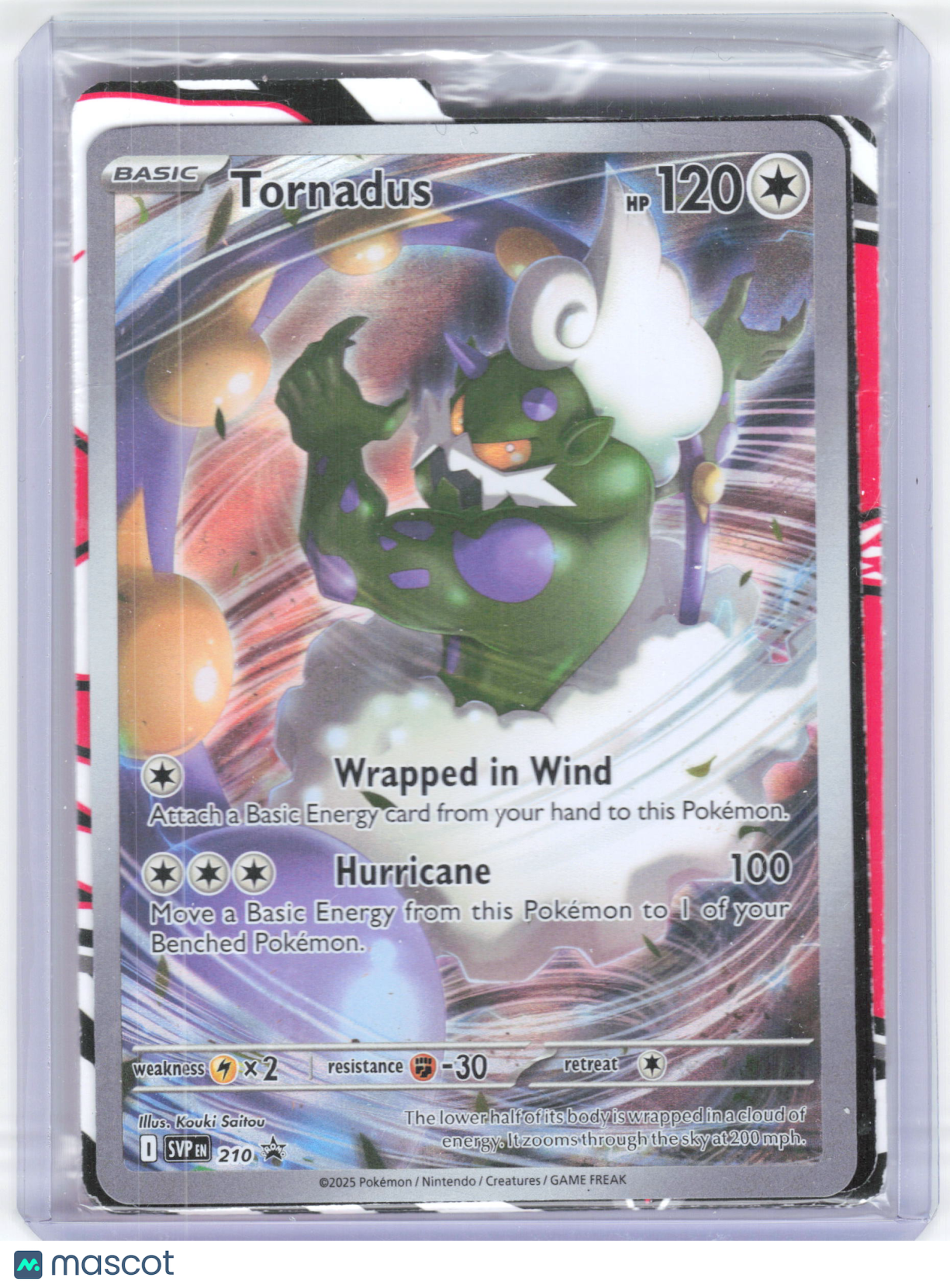 2025 Pokemon—Tornadus #210 Scarlet & Violet Promos—Foil [Sealed w/ Dividers]