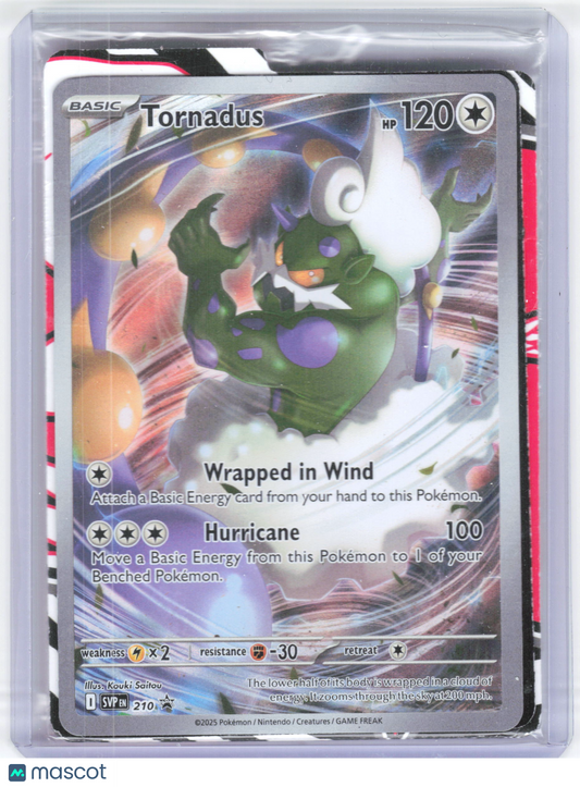 2025 Pokemon—Tornadus #210 Scarlet & Violet Promos—Foil [Sealed w/ Dividers]