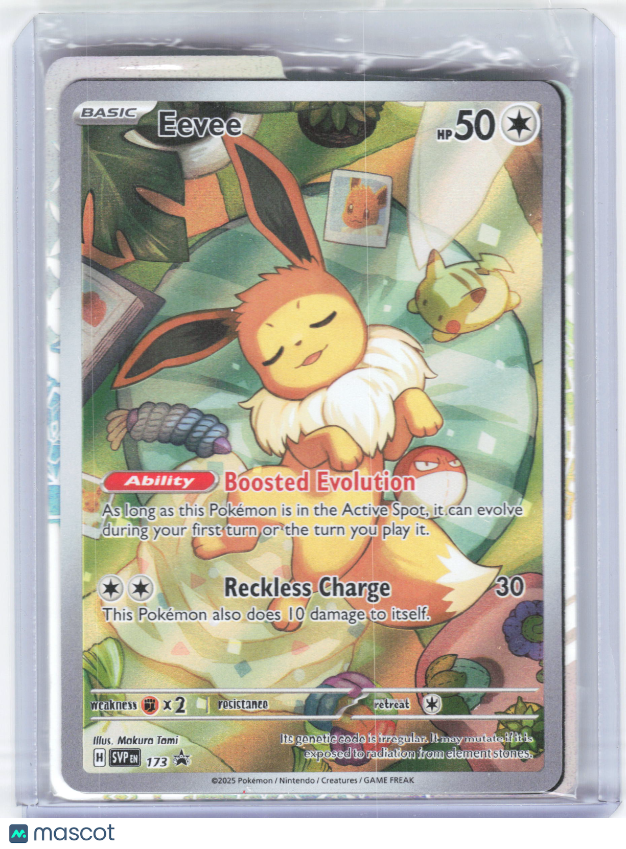 2025 Pokemon—Eevee #173 Scarlet & Violet Promos—Foil [Sealed w/ Dividers]