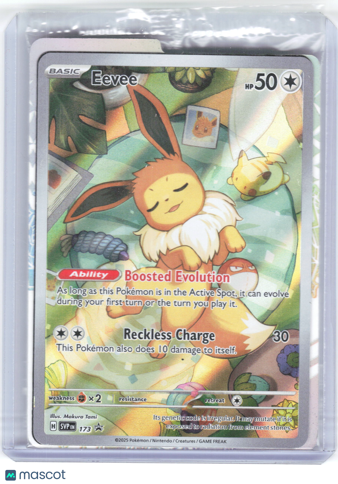 2025 Pokemon—Eevee #173 Scarlet & Violet Promos—Foil [Sealed w/ Dividers]
