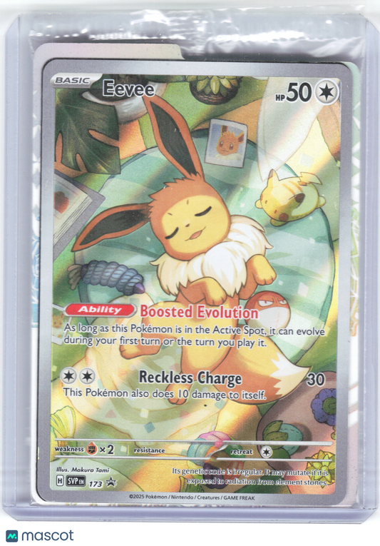 2025 Pokemon—Eevee #173 Scarlet & Violet Promos—Foil [Sealed w/ Dividers]