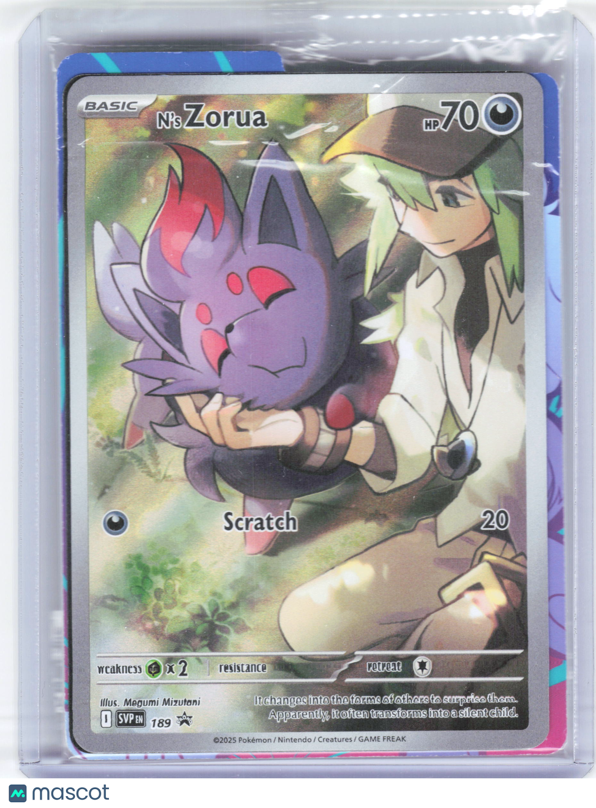 2025 Pokemon—N's Zorua #189 Scarlet & Violet Promos—Foil [Sealed w/ Dividers]