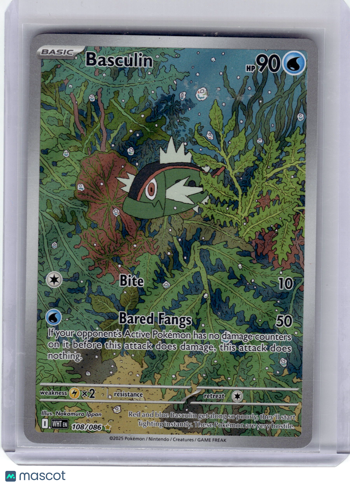 2025 Pokemon Basculin White Flare Illustration Rare Holo #108 Near Mint