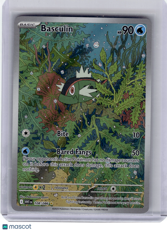2025 Pokemon Basculin White Flare Illustration Rare Holo #108 Near Mint