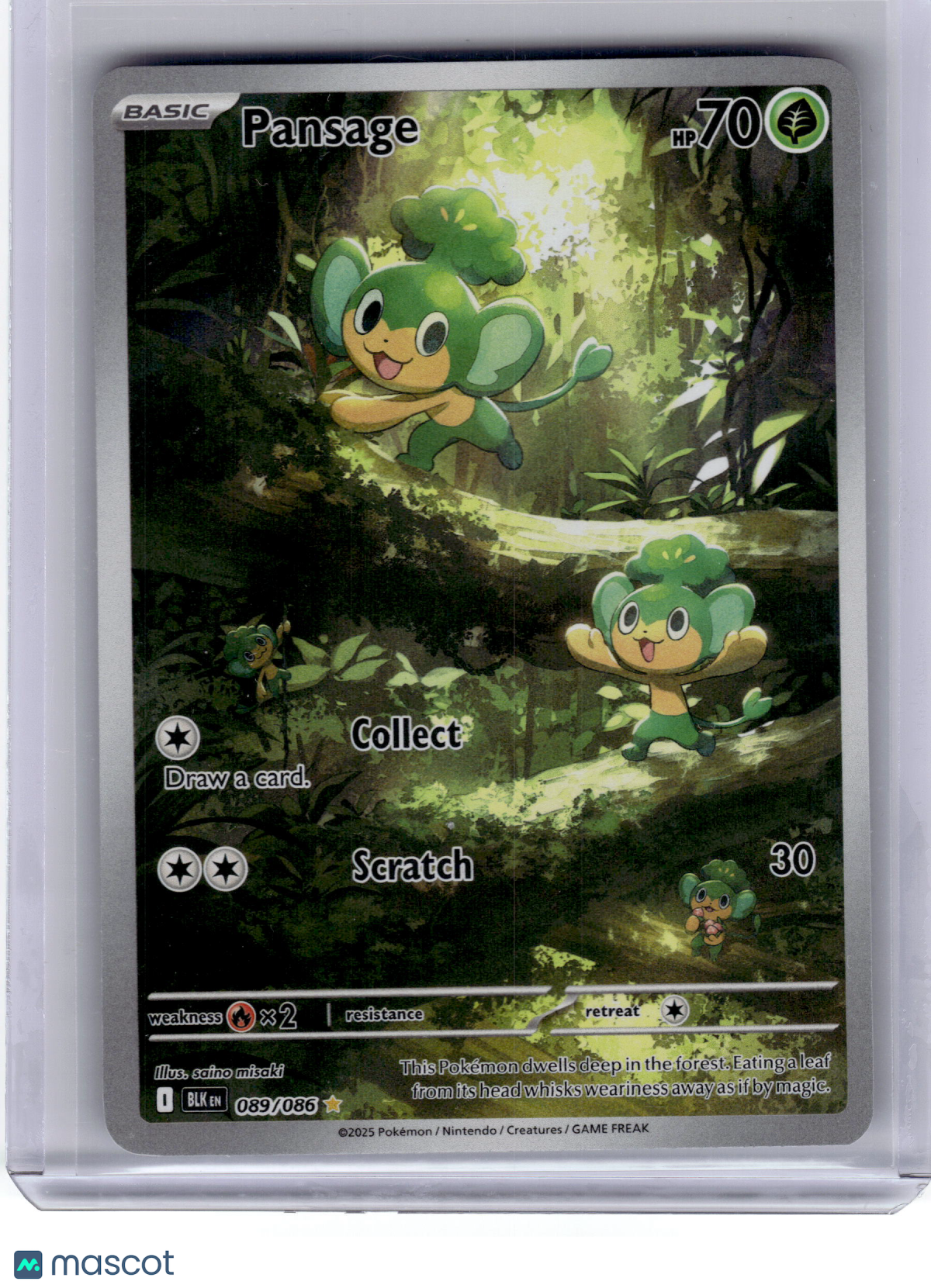 2025 Pokemon Pansage Black Bolt Illustration Rare Holo #89 Near Mint