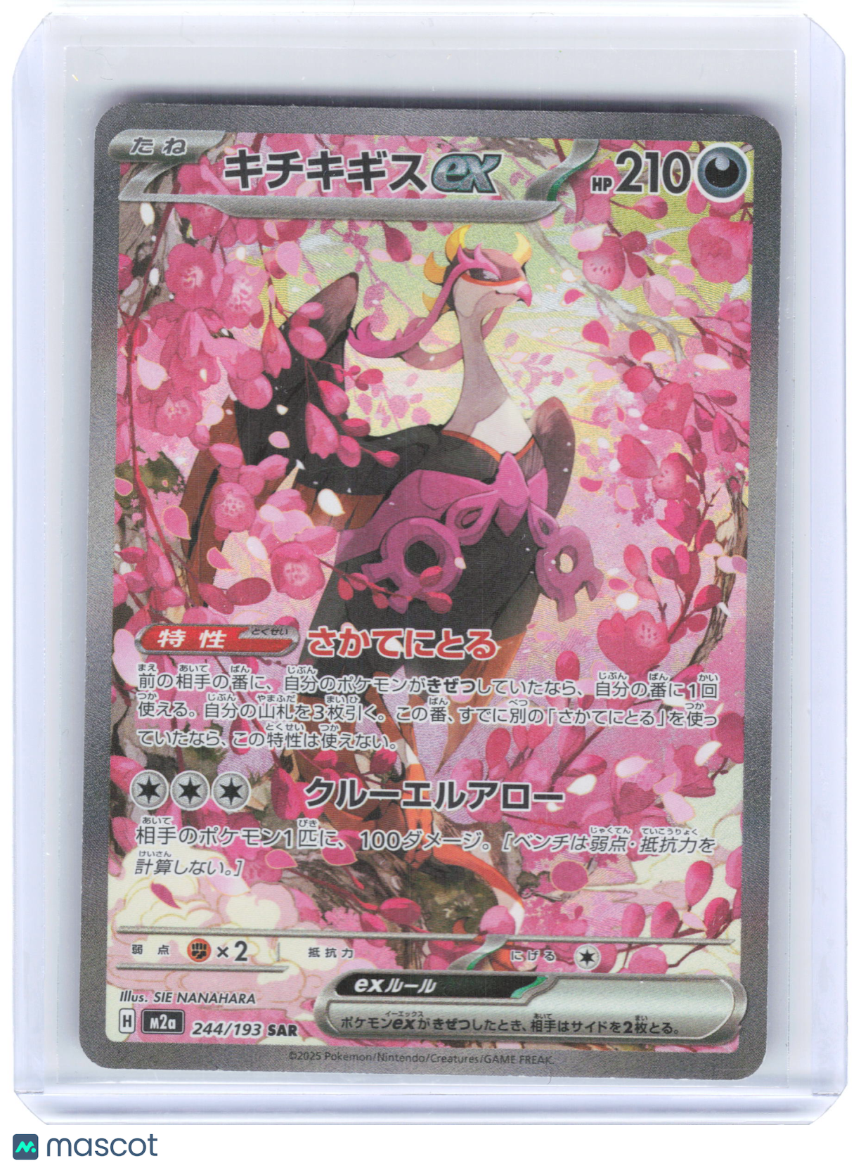 2025 Pokemon—Fezandipity EX #244/193 SAR m2a: Mega Dream EX— SAR Foil Japanese