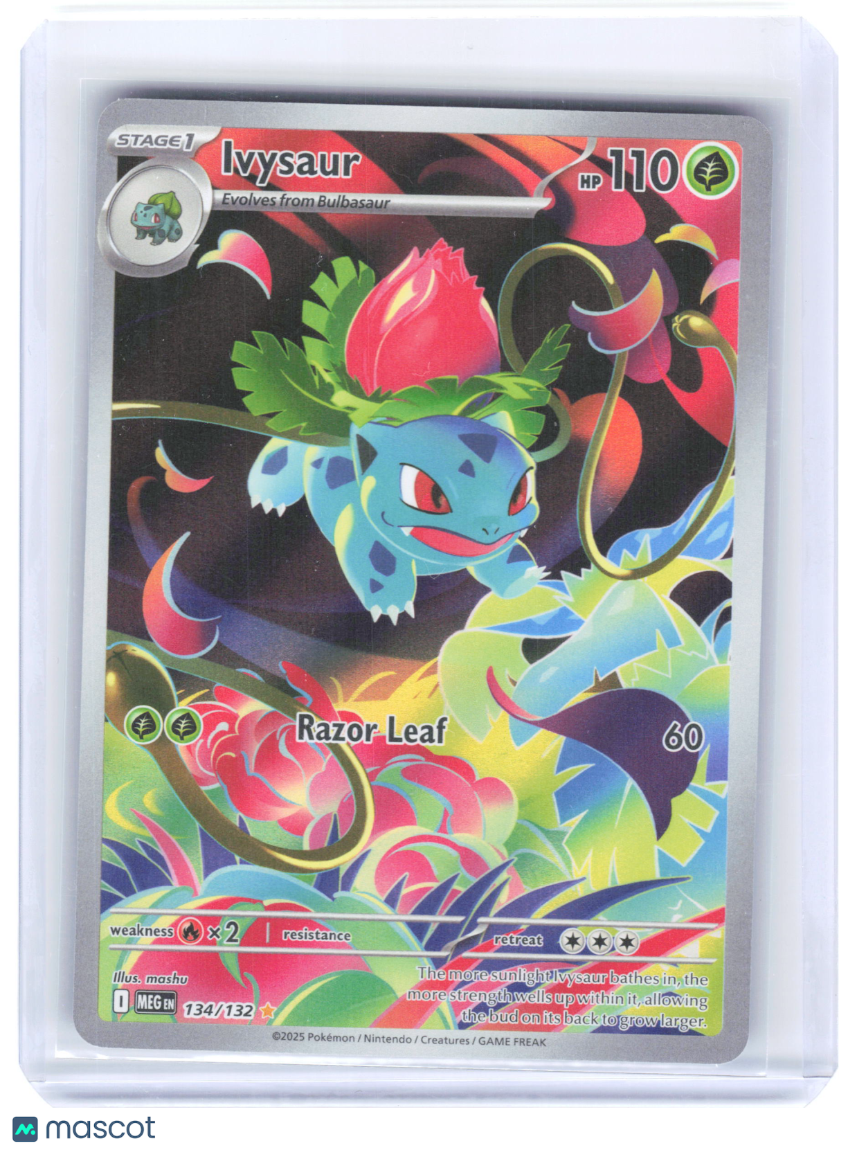 2025 Pokemon—Ivysaur #134/132 Mega Evolutions—Illustration Rare Holo