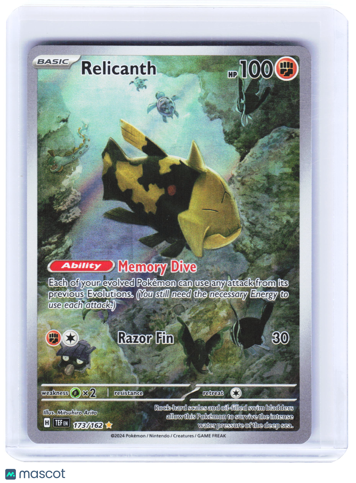 2024 Pokemon—Relicanth #173/162 Temporal Forces—Illustration Rare Foil