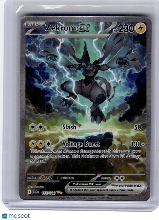 2025 Pokemon—Zekrom EX #166 Black Bolt—Special Illustration Rare Holo Near Mint