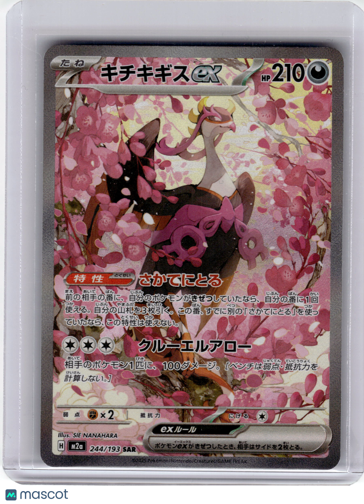 2025 Pokemon Fezandipiti EX Mega Dream Special Art Rare #244 Japanese Near Mint